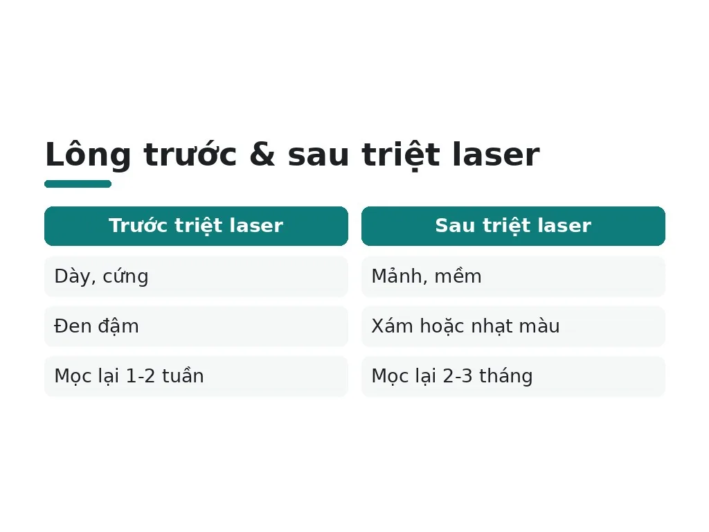 Triệt lông vĩnh viễn có thể loại bỏ 100% không?