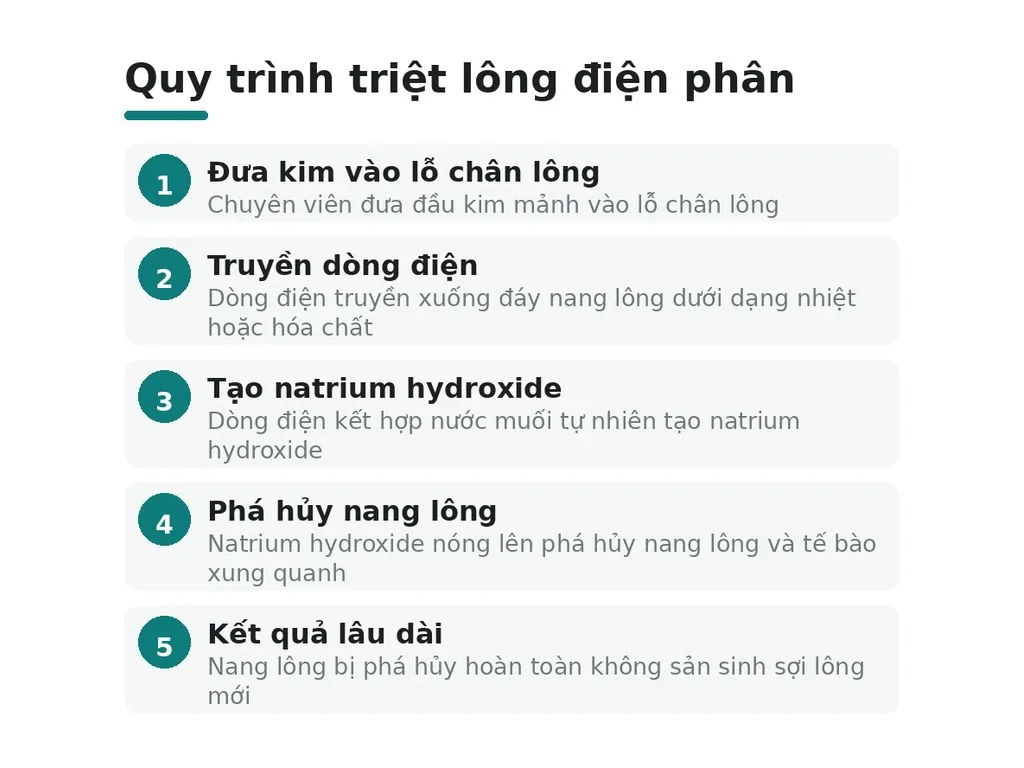 Triệt lông điện phân là gì?