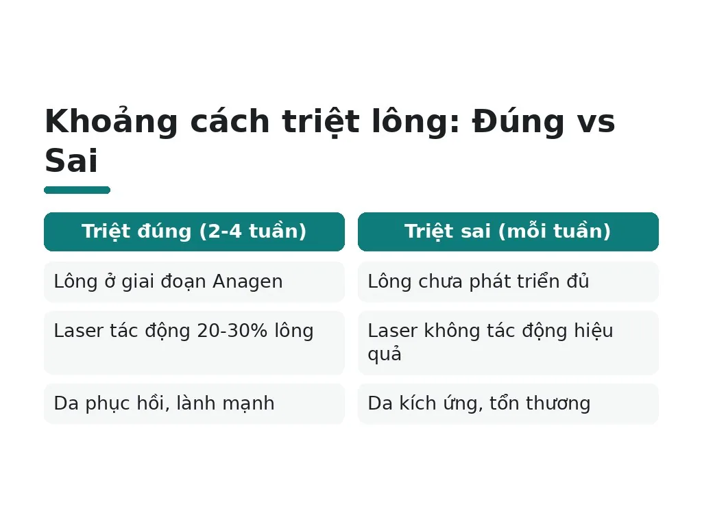 Tại sao không nên triệt lông mỗi tuần?
