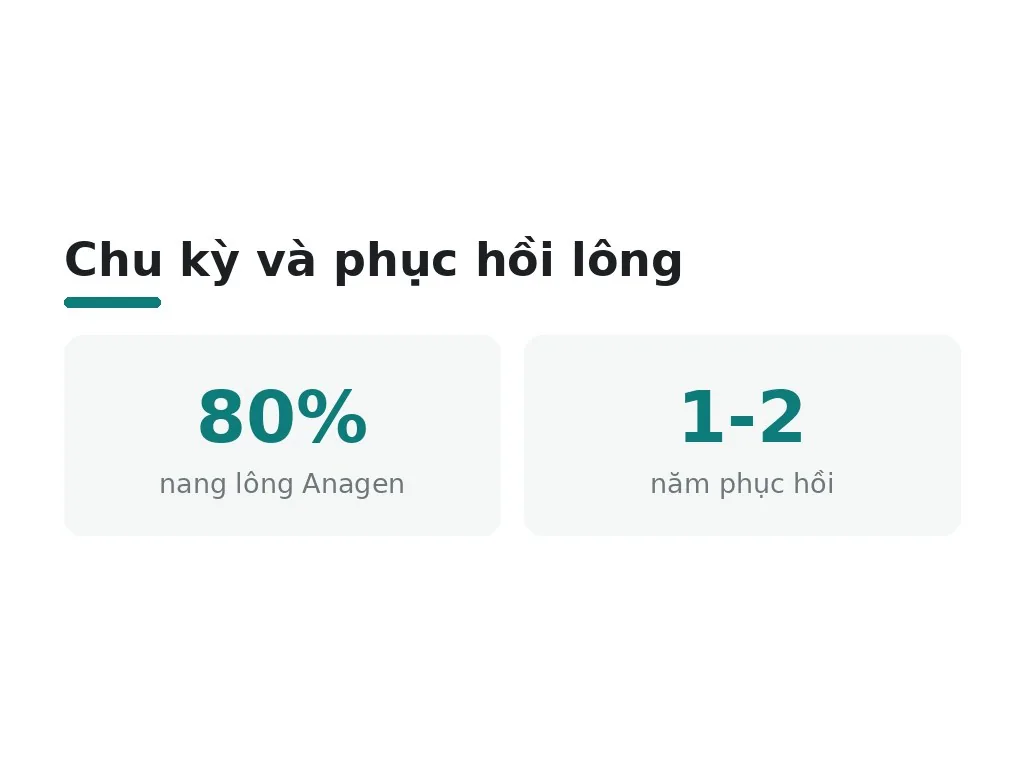 Triệt lông là gì? Cơ chế hoạt động của các công nghệ hiện đại
