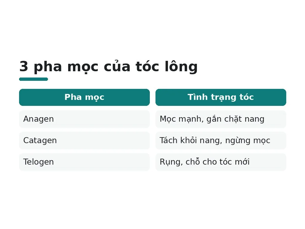 Tại sao cần nhiều buổi triệt để tóc hết hoàn toàn?
