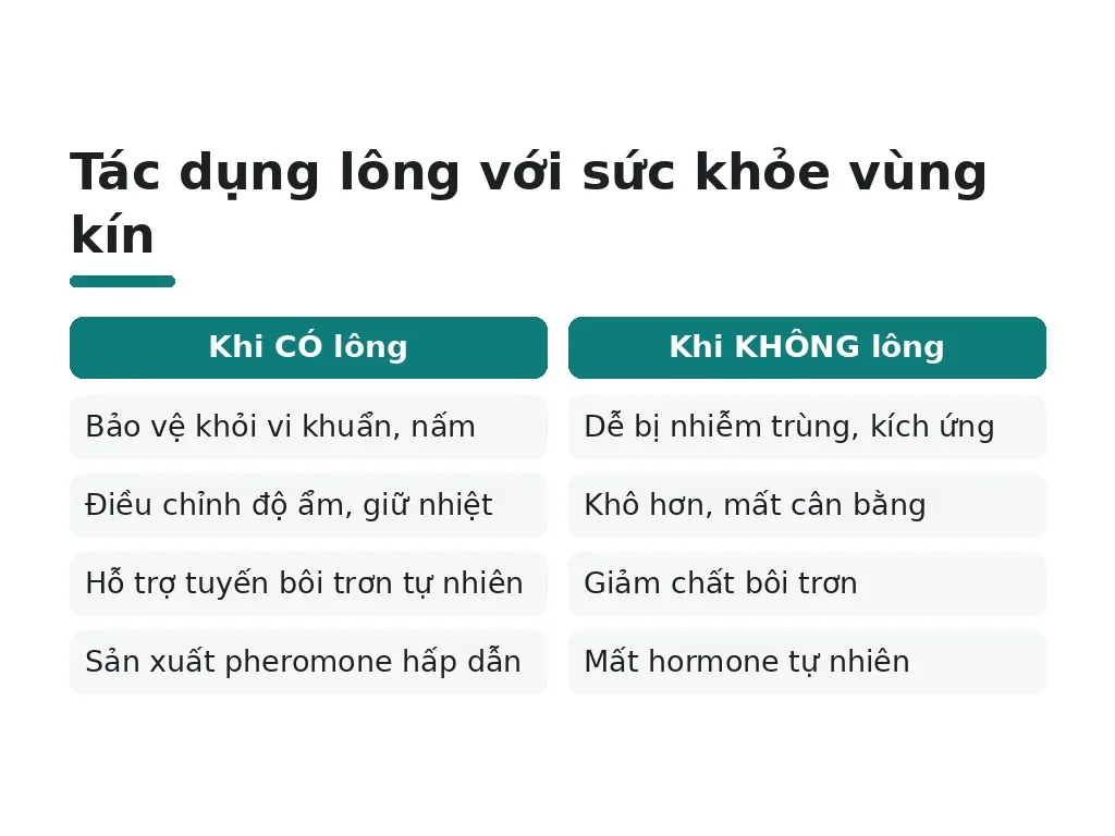 Lông vùng kín giúp bảo vệ cơ thể như thế nào?