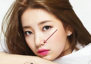 Xem tướng mũi tốt qua cánh mũi