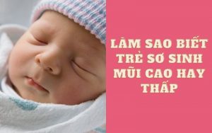 Làm sao biết trẻ sơ sinh mũi cao hay thấp? Giải đáp chi tiết