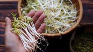 Trong giá đỗ chứa nhiều dưỡng chất tốt cho cơ thể