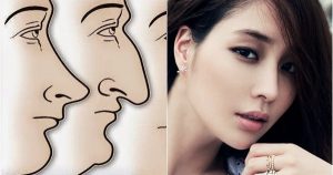 Cách nhận biết mũi két - mũi diều hâu