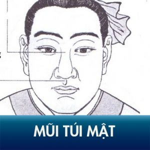 Mũi túi mật là một tướng mũi rất tốt trong phong thủy nhưng lại thiếu thẩm mỹ