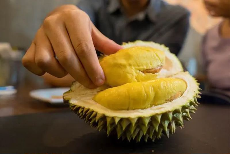 Bạn hoàn toàn có thể ăn sầu riêng sau khi nâng mũi nhưng với lượng vừa phải