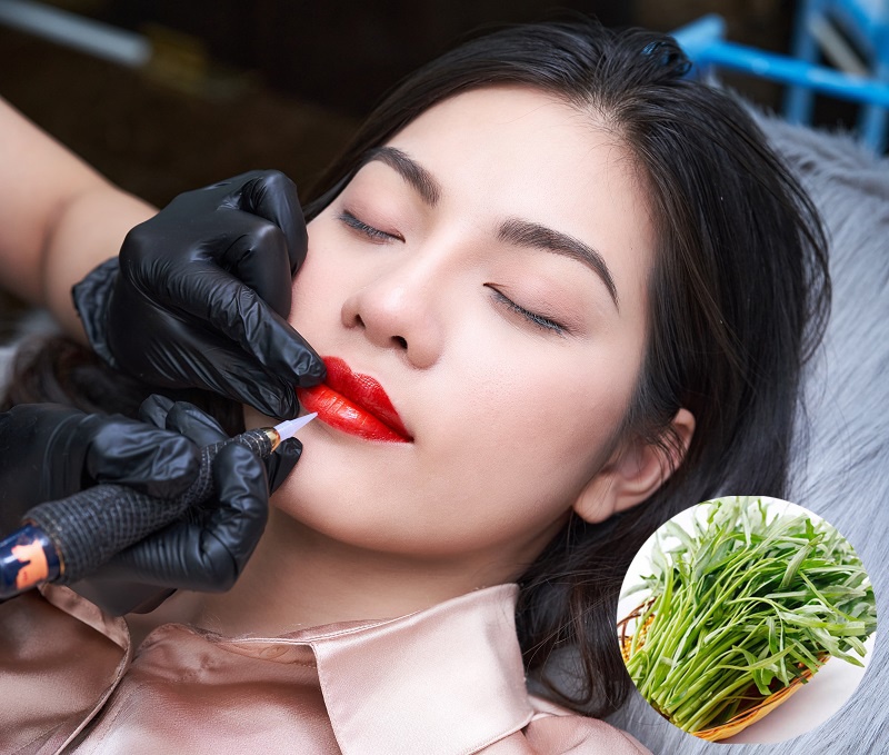 Rau muống có chứa hoạt chất hình thành sẹo xấu sau khi xăm môi