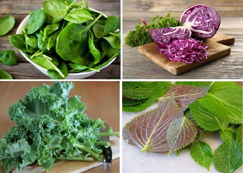 Cải bó xôi, cải xoăn,….là những loại rau nên ăn sau khi xăm môi