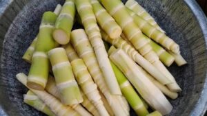 Cắt mí ăn măng được không: hướng dẫn dinh dưỡng an toàn sau phẫu thuật