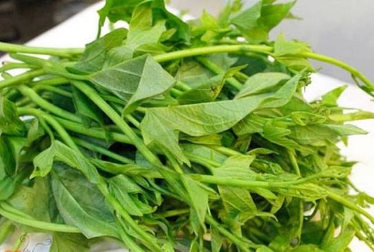Nên chế biến chín kỹ, ăn kèm đạm với lượng khoảng 250–300g mỗi ngày chia nhỏ để tiêu hóa êm bụng.