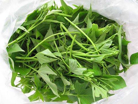 Có thể ăn rau lang nấu chín mềm từ 3–5 ngày sau mổ khi hệ tiêu hóa ổn định và vết khâu khô.